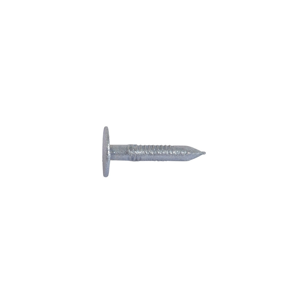 Extra Large Head Galvanised Clout Nails - 20 mm x 3 mm (2.5 kg pack)