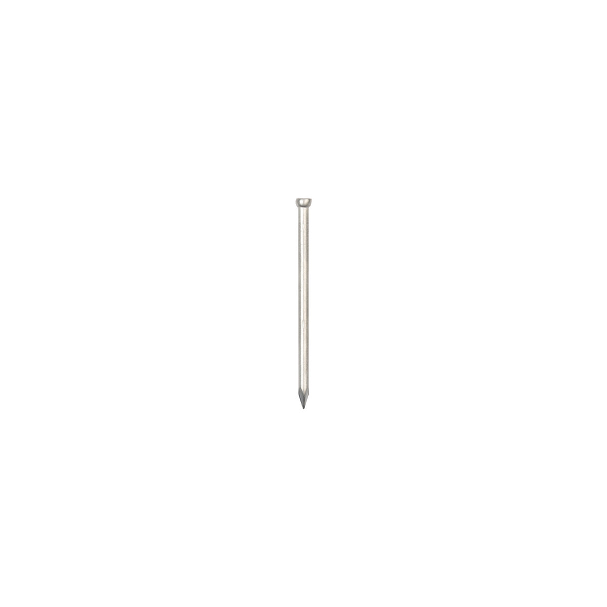 Stainless Steel Lost Head Nails - 65 mm x 3.35 mm