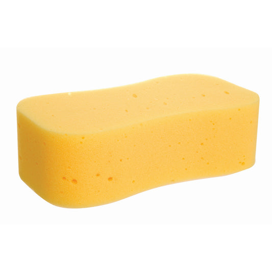 Jumbo Sponge
