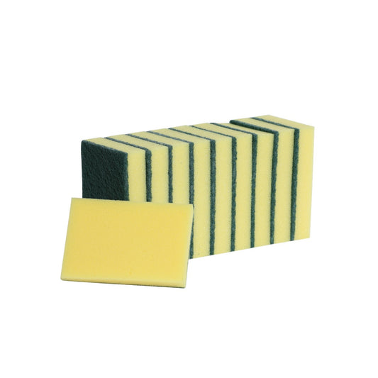 Sponge Scourers
