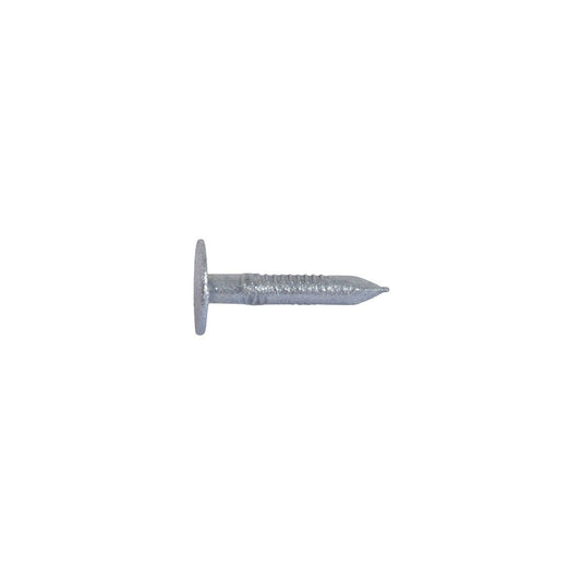 Extra Large Head Galvanised Clout Nails - 20 mm x 3 mm (2.5 kg pack)