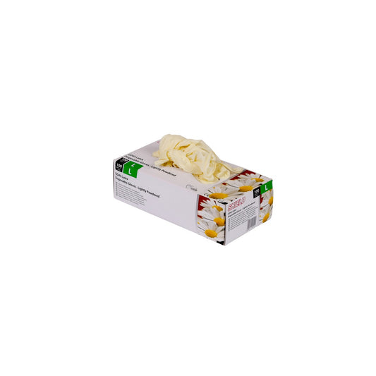 L Disposable Gloves - 100